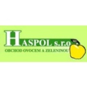 H A S P O L, spol. s r.o. používá SAP Business One